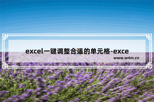 excel一键调整合适的单元格-excel一键调整合适的单元格后再打开又是没调一样