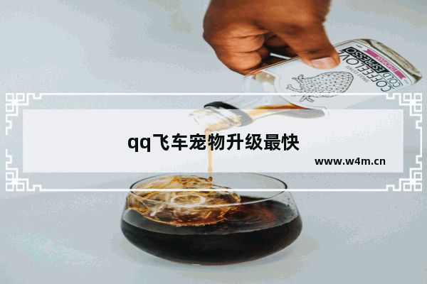 qq飞车宠物升级最快