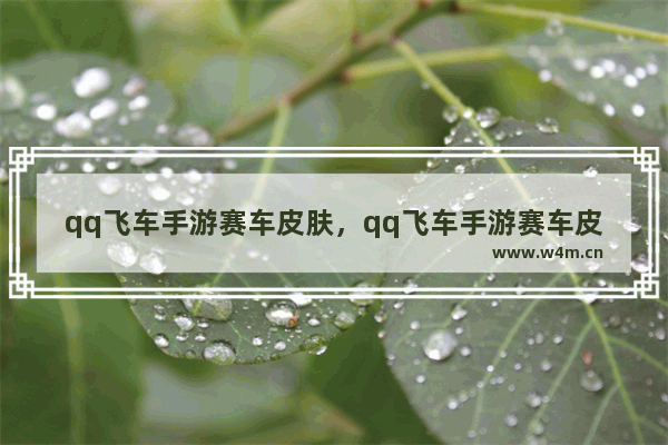 qq飞车手游赛车皮肤，qq飞车手游赛车皮肤在哪里找