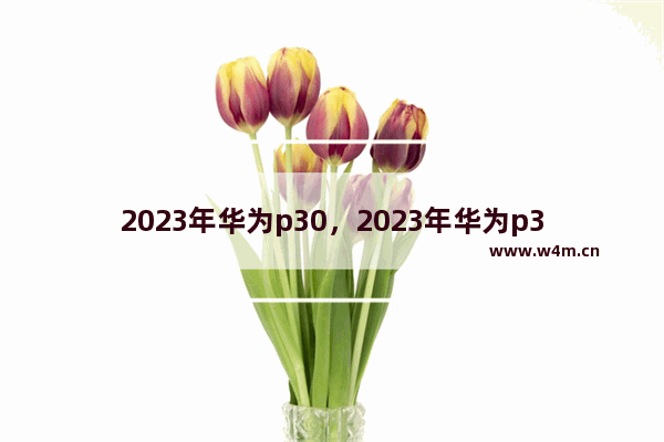 2023年华为p30，2023年华为p30过时了吗