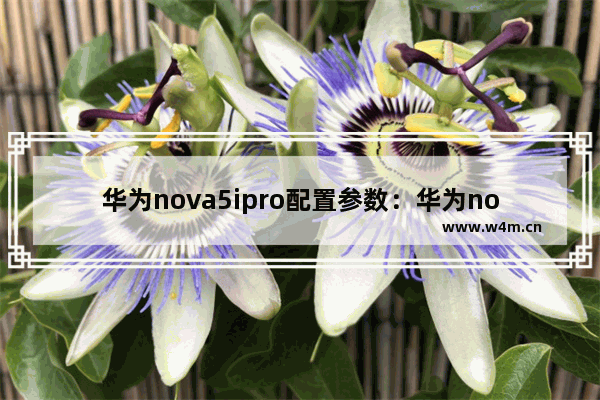 华为nova5ipro配置参数：华为nova5ipro配置参数详情