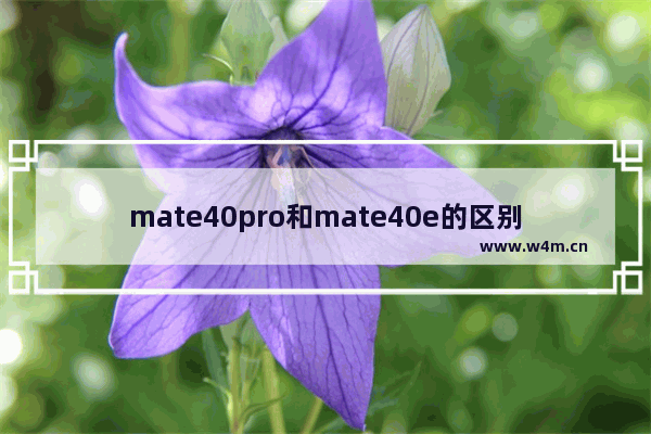 mate40pro和mate40e的区别-华为mate40和mate40pro和mate40E的区别