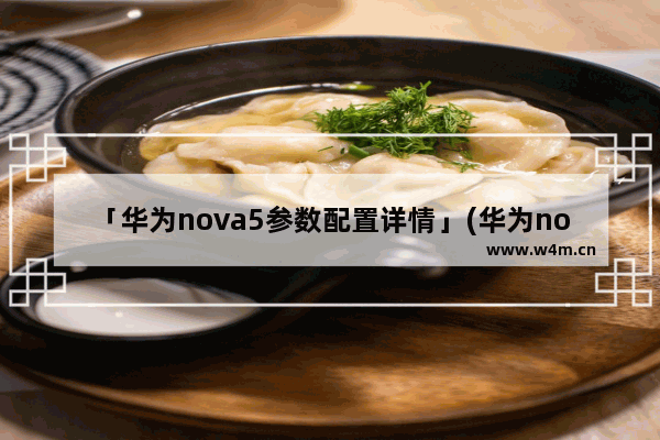 「华为nova5参数配置详情」(华为nova5参数配置详情表)