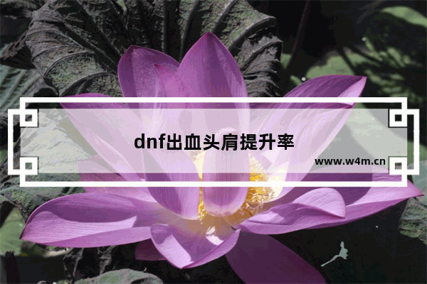 dnf出血头肩提升率