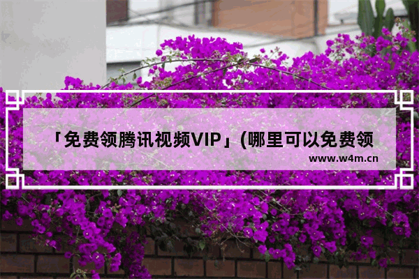 「免费领腾讯视频VIP」(哪里可以免费领腾讯视频vip会员)