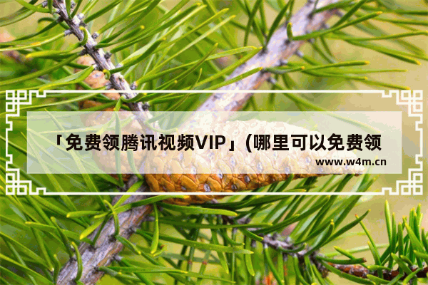 「免费领腾讯视频VIP」(哪里可以免费领腾讯视频vip会员)