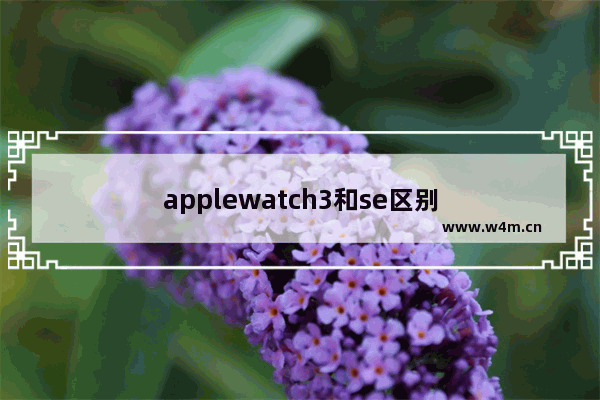 applewatch3和se区别