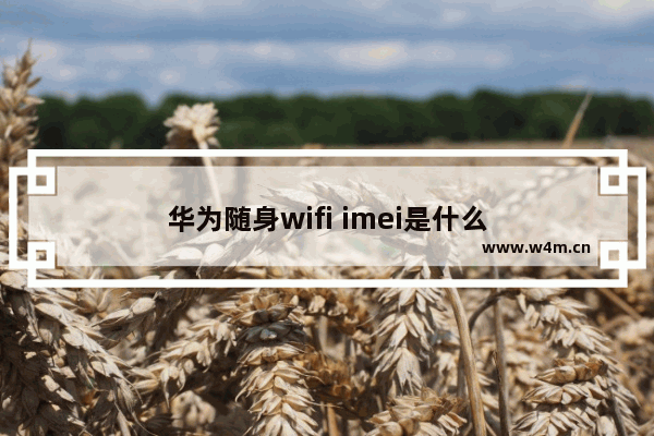 华为随身wifi imei是什么