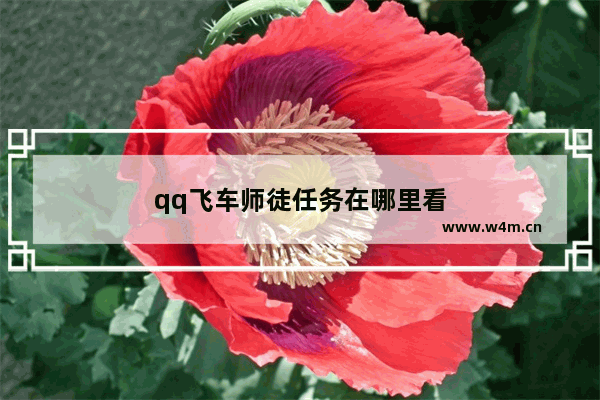 qq飞车师徒任务在哪里看