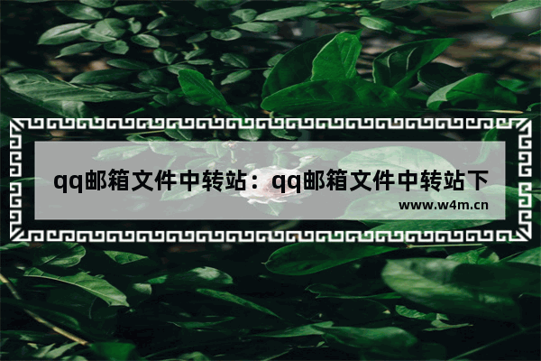 qq邮箱文件中转站：qq邮箱文件中转站下载次数