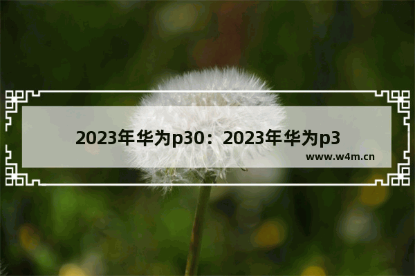 2023年华为p30：2023年华为p30pro