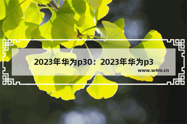 2023年华为p30：2023年华为p30pro