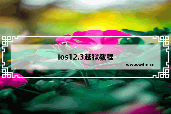 ios12.3越狱教程