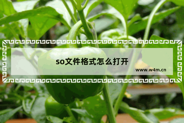 so文件格式怎么打开