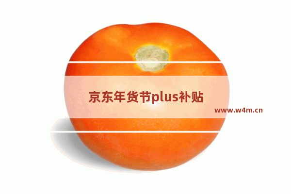 京东年货节plus补贴