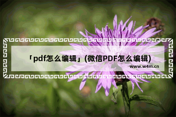 「pdf怎么编辑」(微信PDF怎么编辑)