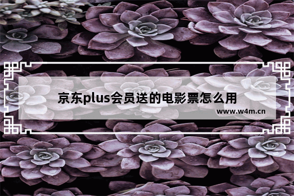 京东plus会员送的电影票怎么用