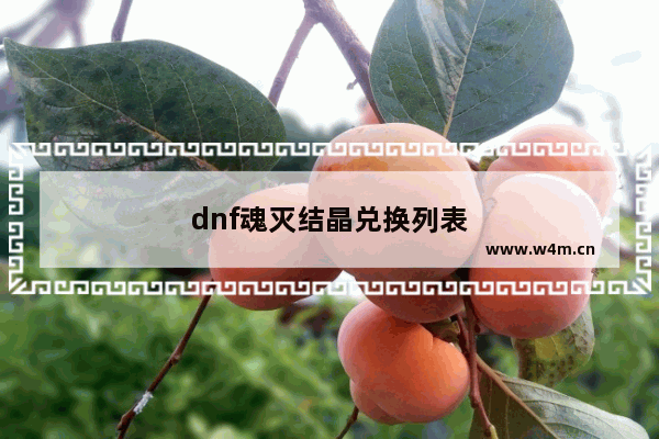 dnf魂灭结晶兑换列表