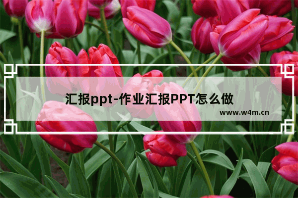 汇报ppt-作业汇报PPT怎么做