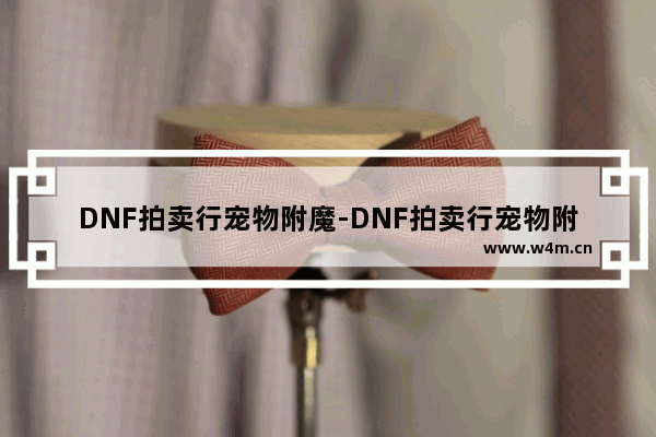 DNF拍卖行宠物附魔-DNF拍卖行宠物附魔咋搜