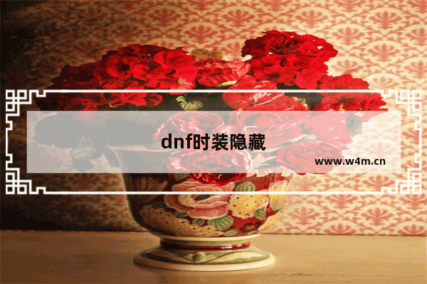 dnf时装隐藏