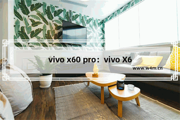 vivo x60 pro：vivo X60 Pro详细参数