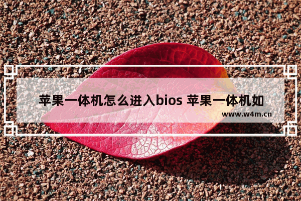 苹果一体机怎么进入bios 苹果一体机如何进入BIOS