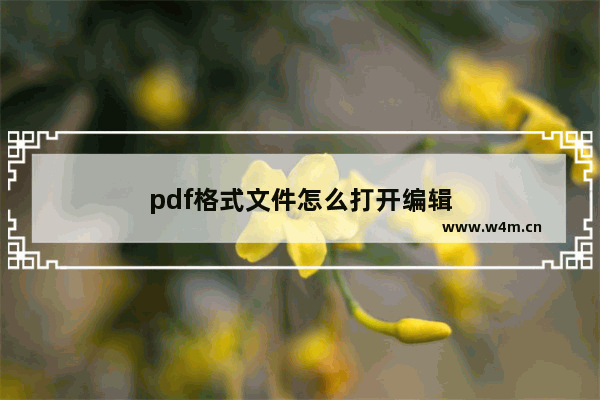 pdf格式文件怎么打开编辑