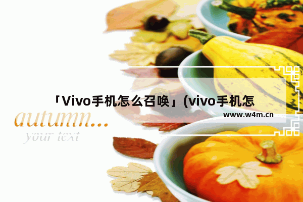 「Vivo手机怎么召唤」(vivo手机怎么召唤智能语音)