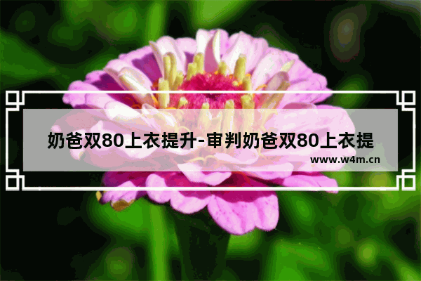 奶爸双80上衣提升-审判奶爸双80上衣提升