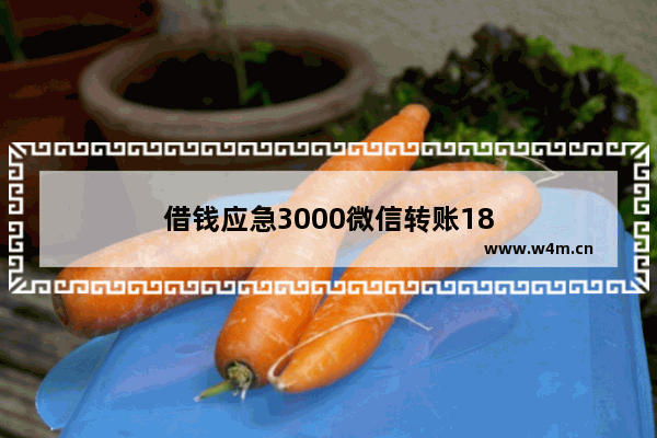 借钱应急3000微信转账18