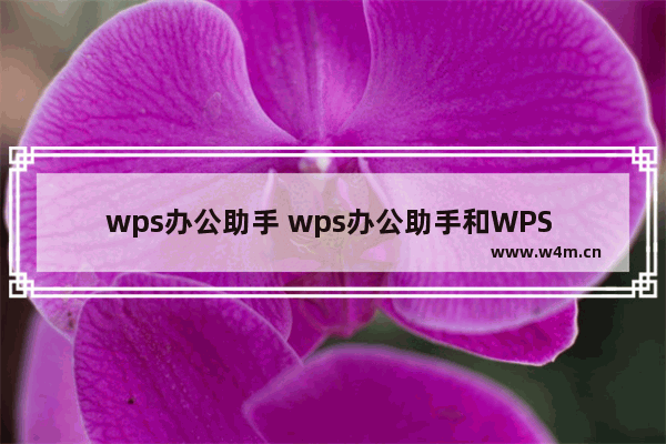 wps办公助手 wps办公助手和WPS 一样吗