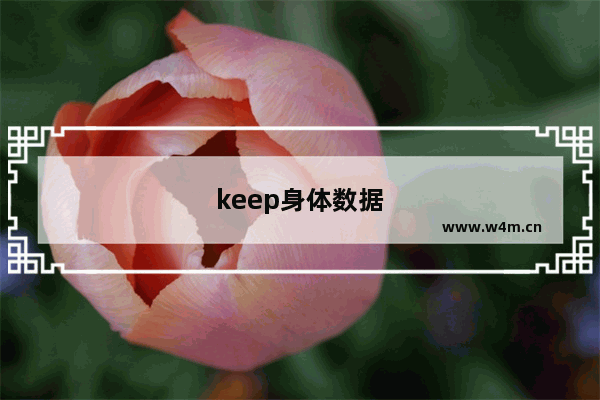 keep身体数据