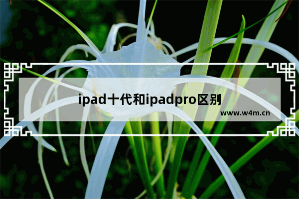 ipad十代和ipadpro区别