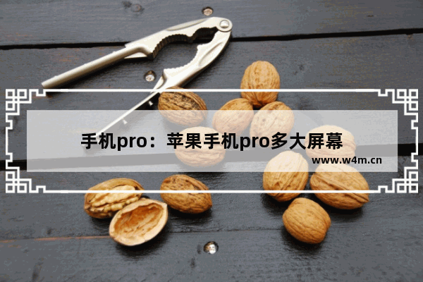 手机pro：苹果手机pro多大屏幕