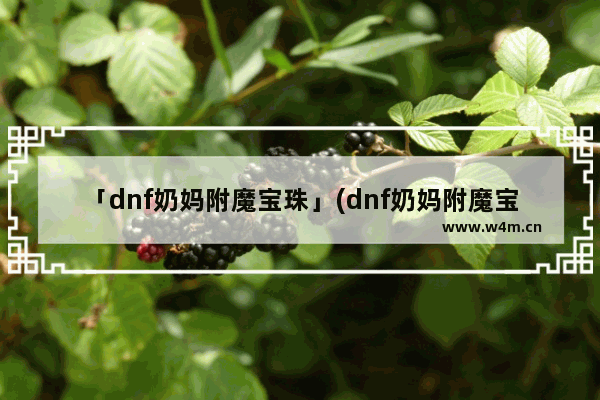 「dnf奶妈附魔宝珠」(dnf奶妈附魔宝珠价格)