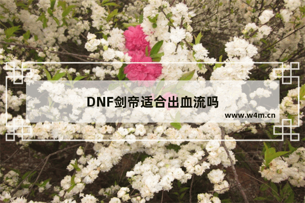 DNF剑帝适合出血流吗