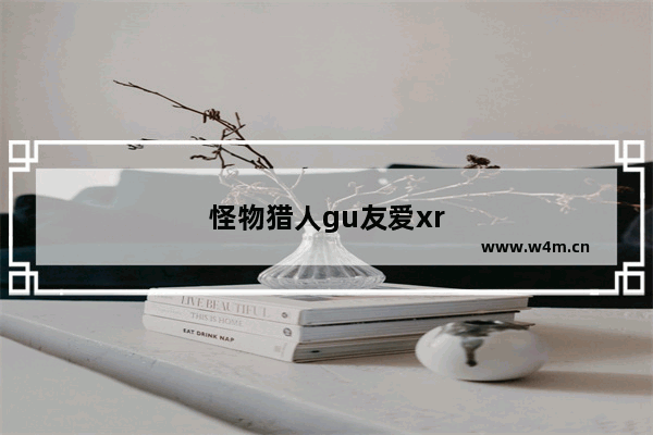 怪物猎人gu友爱xr