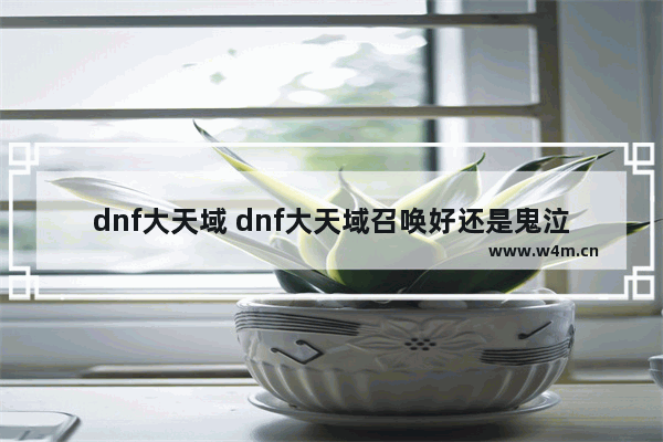 dnf大天域 dnf大天域召唤好还是鬼泣