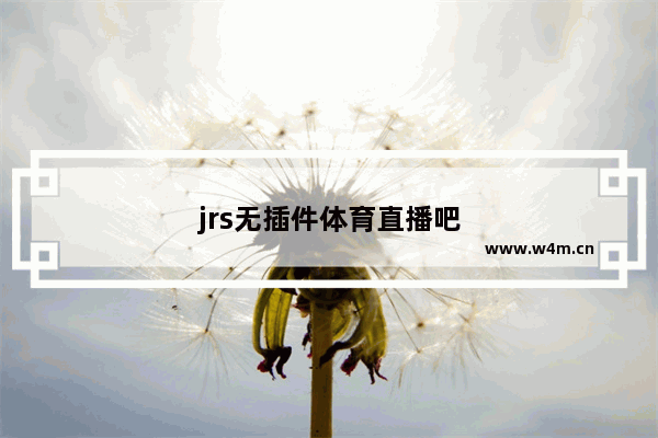 jrs无插件体育直播吧