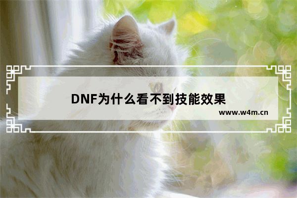 DNF为什么看不到技能效果