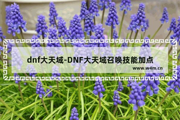 dnf大天域-DNF大天域召唤技能加点