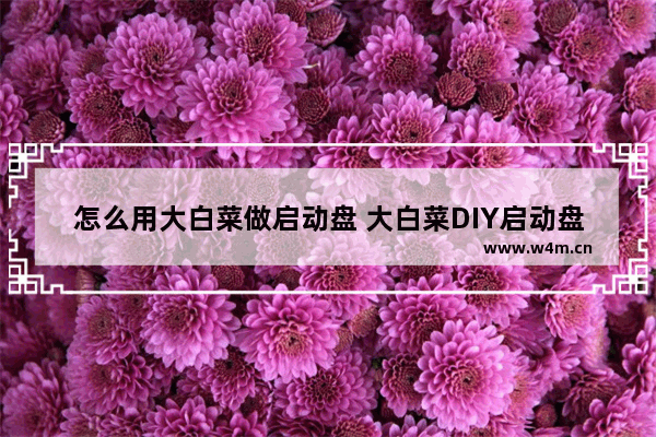 怎么用大白菜做启动盘 大白菜DIY启动盘