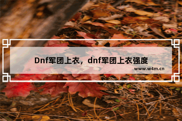 Dnf军团上衣，dnf军团上衣强度