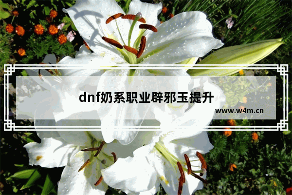 dnf奶系职业辟邪玉提升