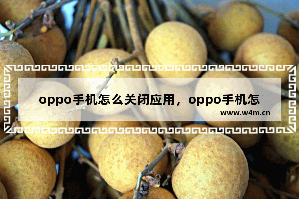 oppo手机怎么关闭应用，oppo手机怎么关闭应用加密