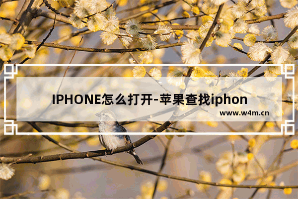 IPHONE怎么打开-苹果查找iphone怎么打开