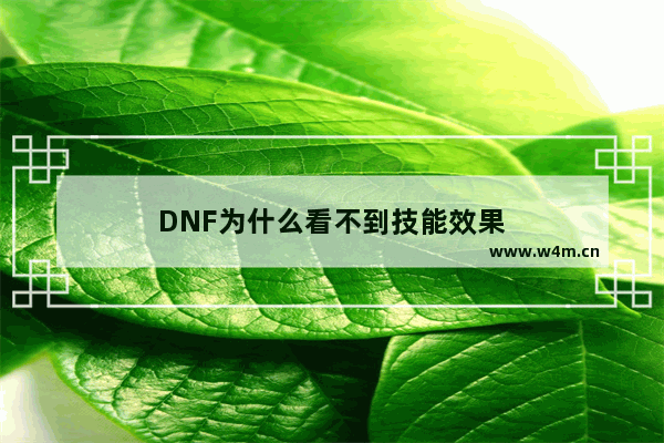 DNF为什么看不到技能效果