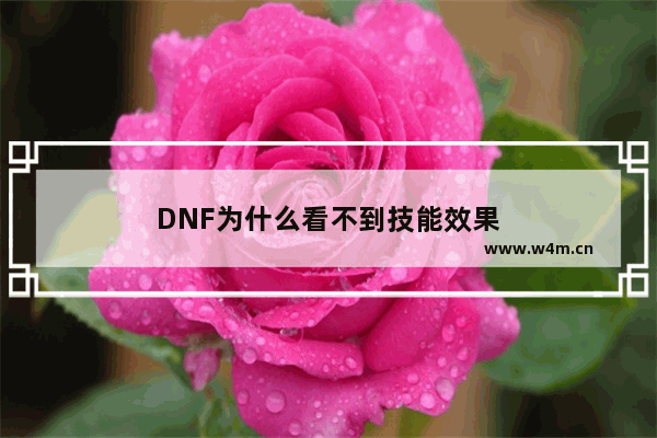 DNF为什么看不到技能效果