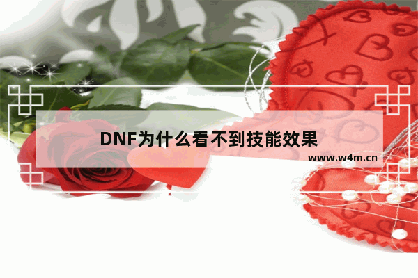 DNF为什么看不到技能效果